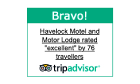 We received a Bravo Badge!